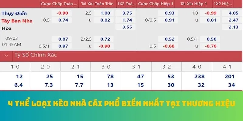 Cá Độ Bóng Đá QQ88 - Top 1 BXH Kèo Nhà Cái Xuất Sắc Nhất Năm 7 4 thể loại kèo nhà cái phổ biến nhất tại thương hiệu