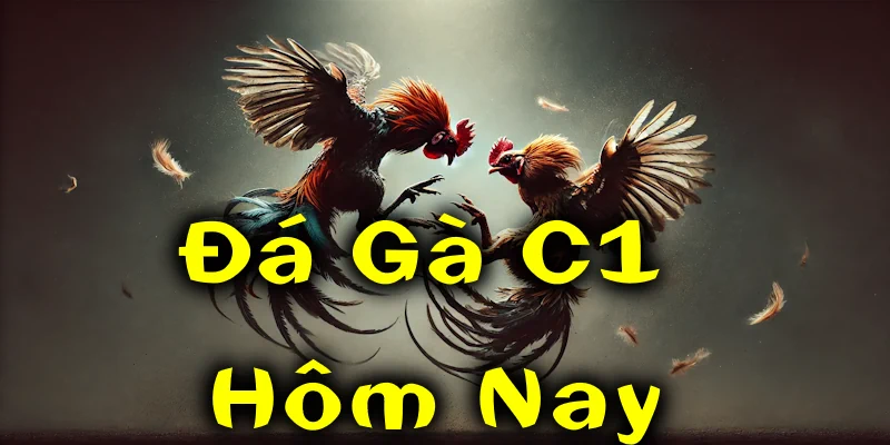 Đá gà C1 Hôm Nay