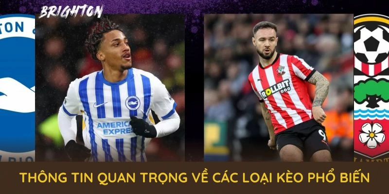 Các Loại Kèo Phổ Biến Tại QQ88 Và Loạt Ưu Đãi Mới Nhất 2025 4 Các thông tin quan trọng về các loại kèo phổ biến tại sảnh thể thao QQ88