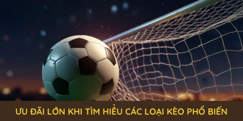 Các Loại Kèo Phổ Biến Tại QQ88 Và Loạt Ưu Đãi Mới Nhất 2025 5 Nhiều loại kèo cược hấp dẫn trong sảnh thể thao QQ88